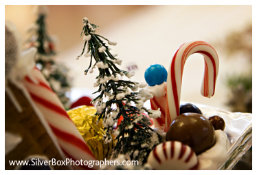 [03_090CarterNiven_443.jpg]