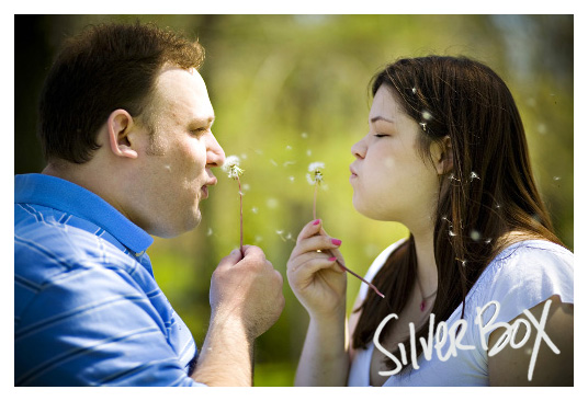 [blog+A+GROFFe_76.jpg]