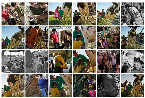 [farm+collage+a.jpg]