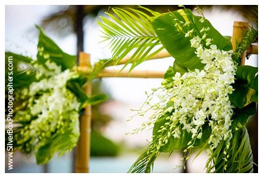 [0030_Wedding_Bahamas.jpg]