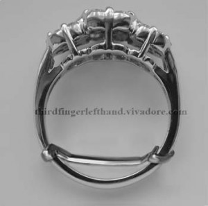 Platinum Ring Guard
