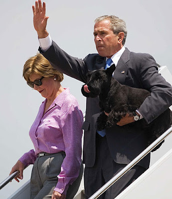 President Bush with "Scottish Terriers" President Bush with "Scottish Terriers"