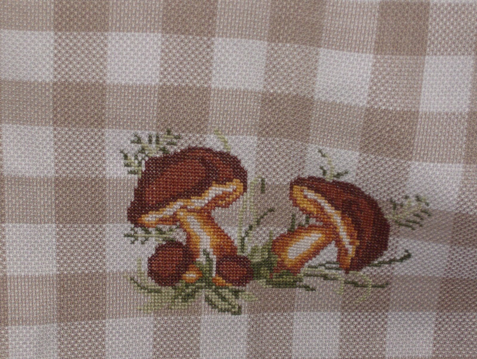 [HPIM3294.JPG]