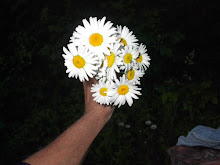 Count the blessings Petal by Petal