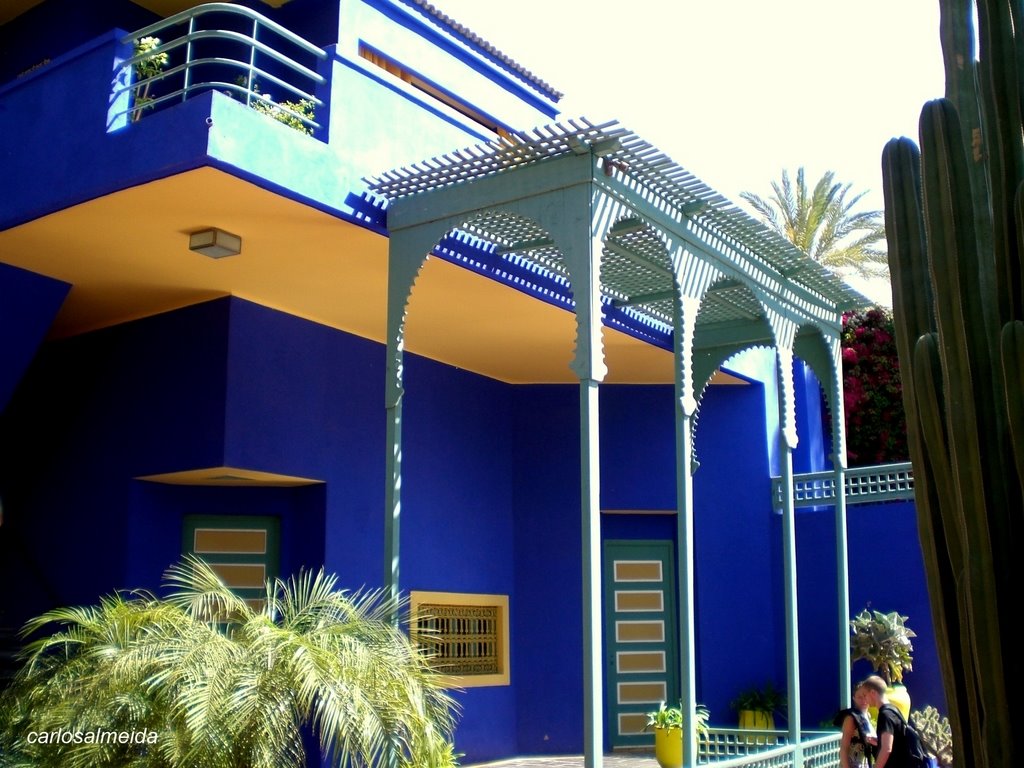 [CIMG8865-1.JPG]