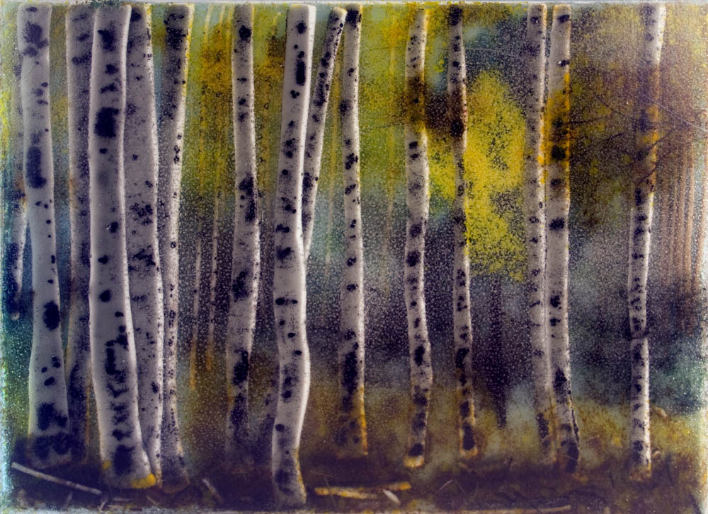 EloraFergus Studio Tour Another Highlight on an EloraFergus Studio