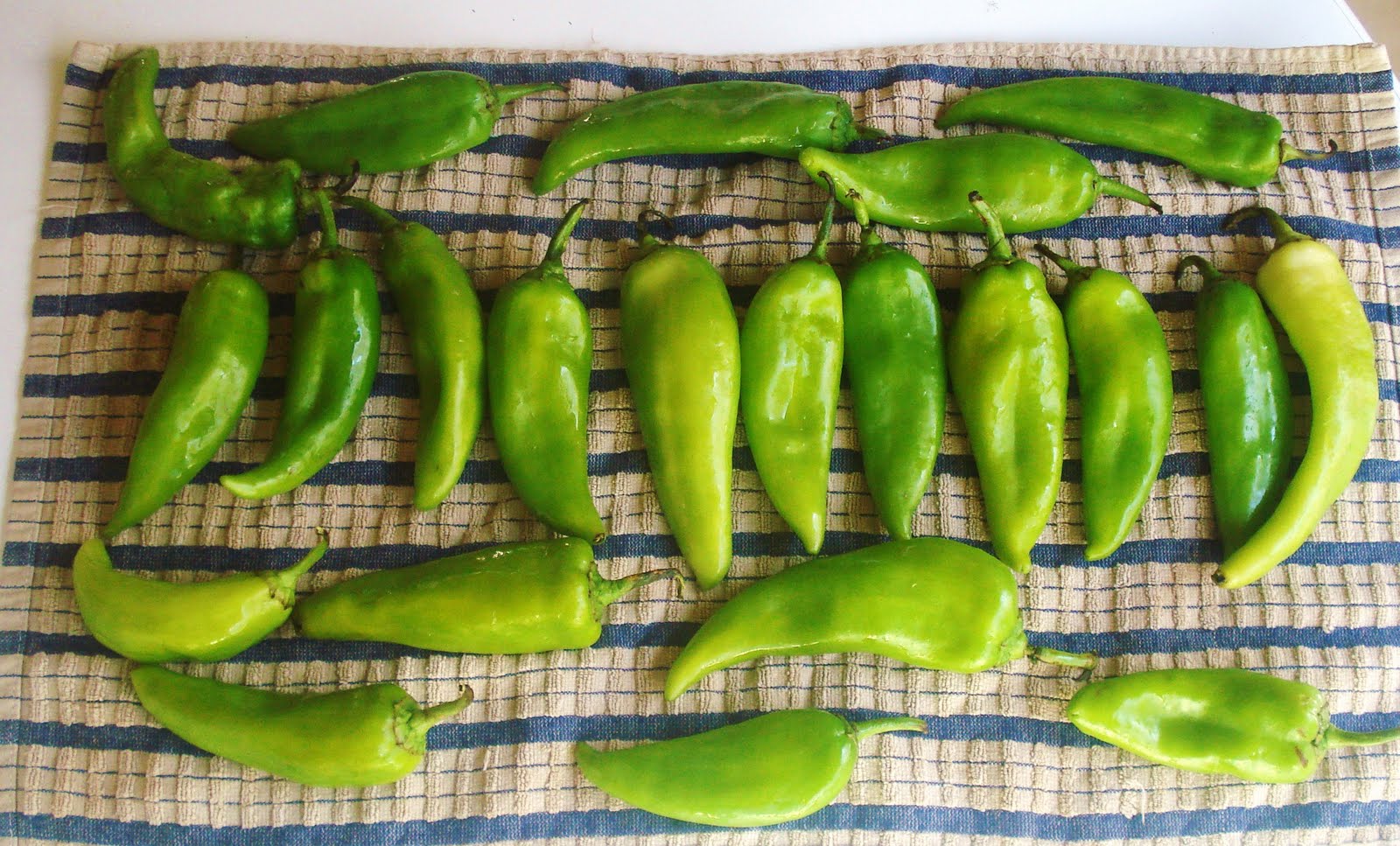 How to Roast Green Chiles Inspired RD