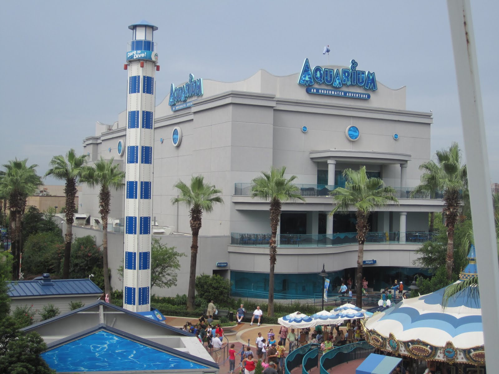 Where is Brandy? The Aquarium Downtown