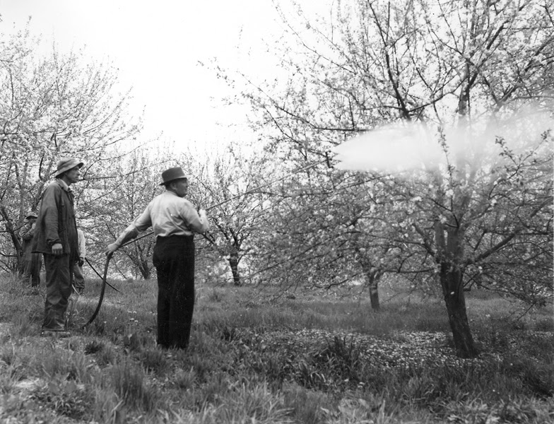 Livin' la vida local Synthetic pesticides and chemical fertilizers