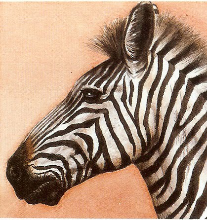 [zebra.jpg]