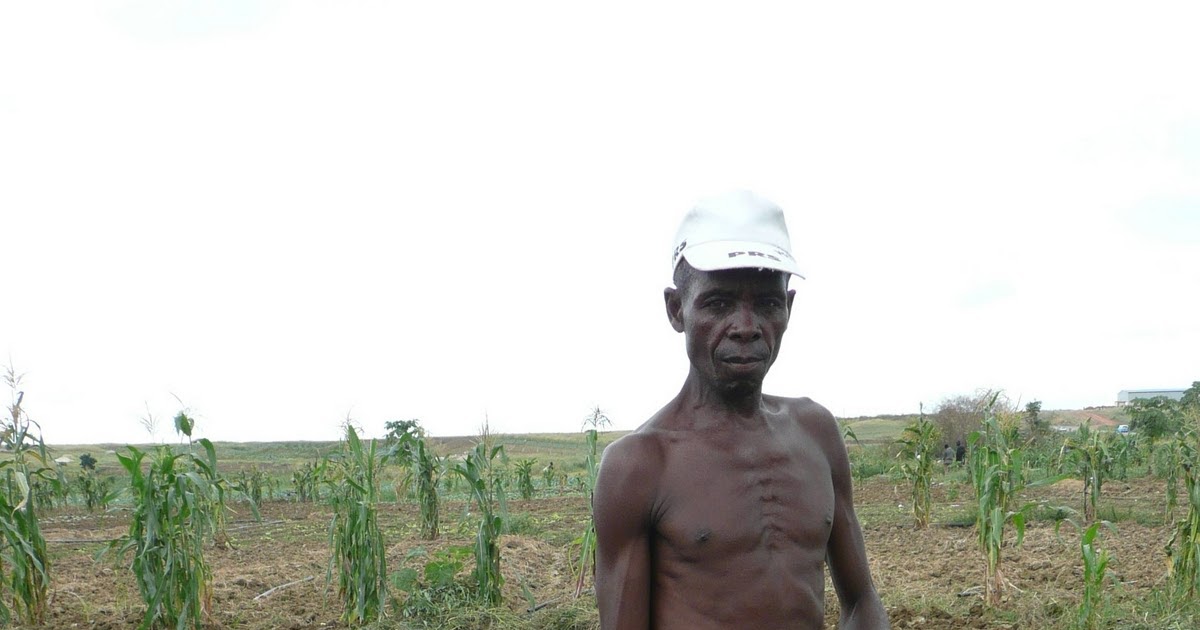 angola millennium goals report 2010 China’s progress towards the millennium development goals 2013 report angola millennium goals report 2010 essay - content 1 abstract. angola millennium goals report 2010 China’s progress towards the millennium development goals 2013 report angola millennium goals report 2010 essay - content 1 abstract.