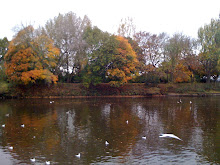 The Severn River, Worcester