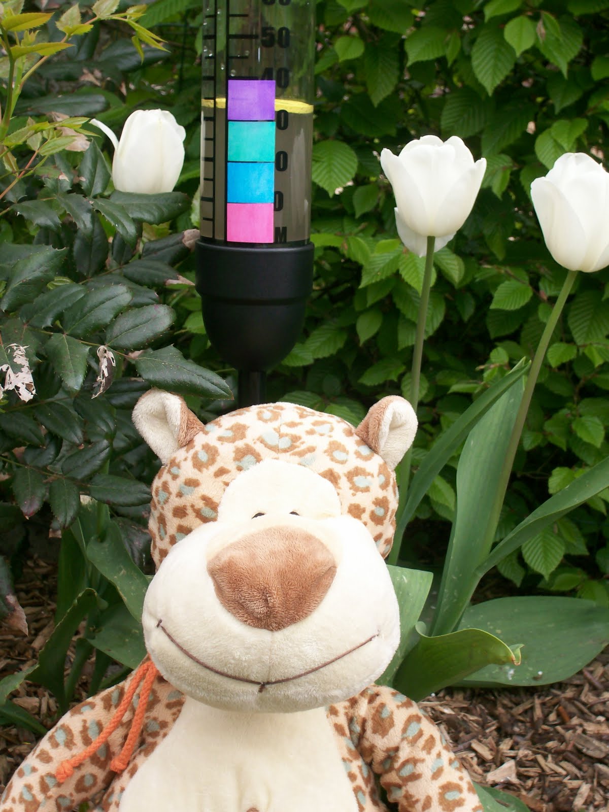 De wondere kleuterwereld Weerkoffer