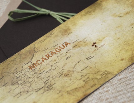 [il_430xN_60414554.jpg]