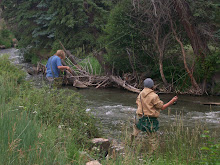 COLORADO 2007 FLY FISHING