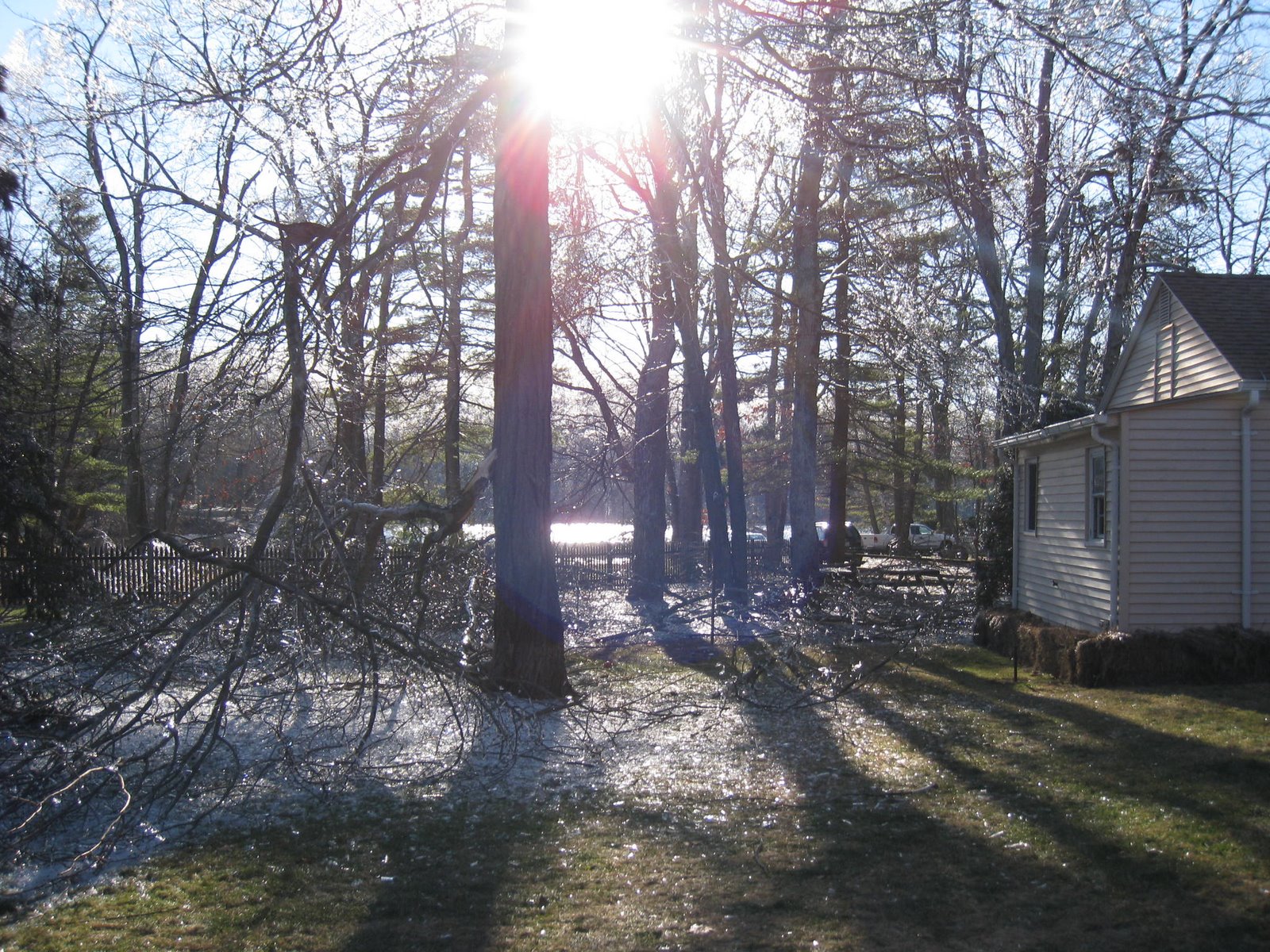[IMG_0416.JPG]