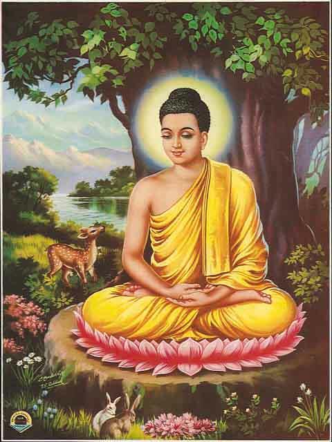 siddhartha enlightenment essays siddhartha enlightenment essays