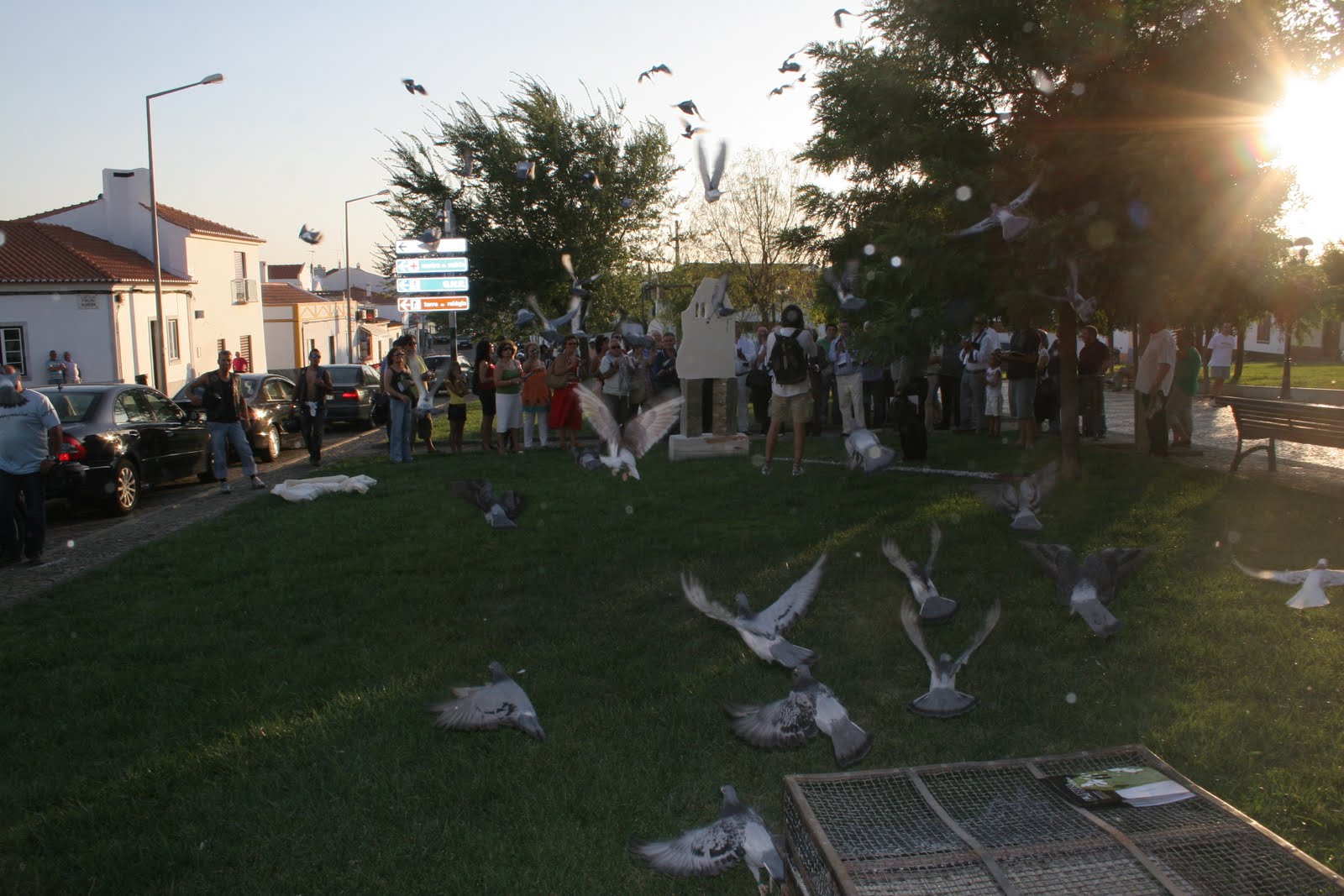 [8-Agosto-2009+679.jpg]