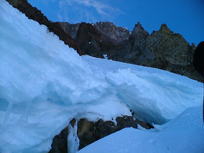 culonas gringas y blancas y velludas