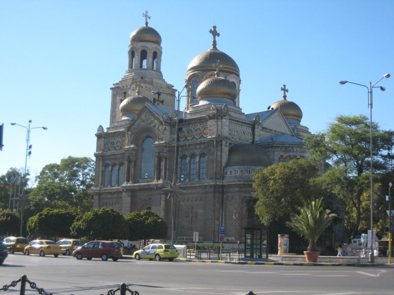 [IMG_3480.JPG]