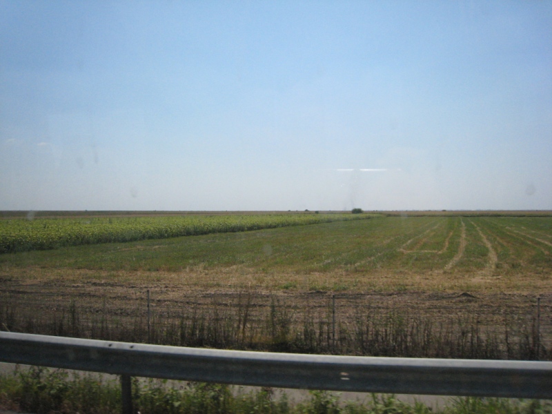 [IMG_3413.JPG]