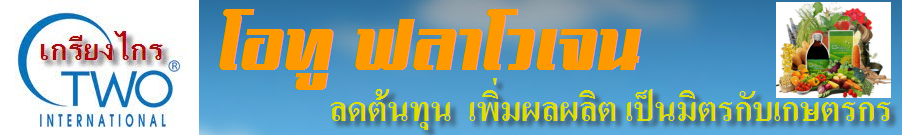 สร้างรายได้ด้วยการขุด ตระกูลเงินดิจิตอล