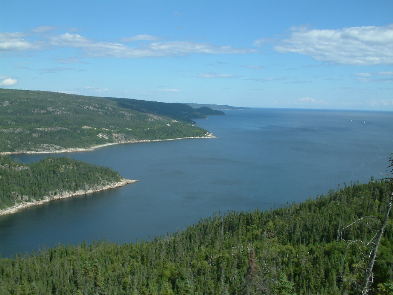 définition C'est quoi