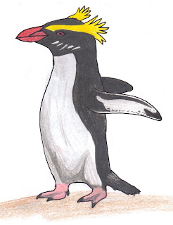 The Disillusioned Taxonomist: Erect-crested & Fiordland Crested Penguins