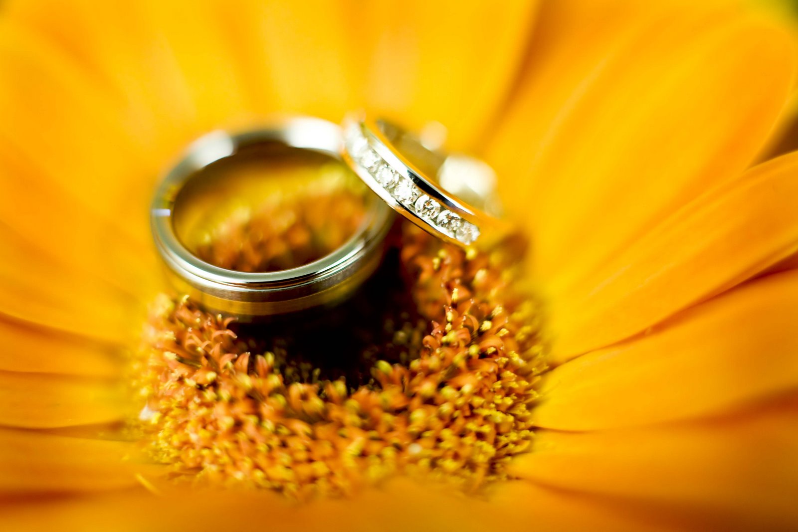 [IMG_8628-Edit.jpg]