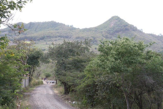 RÉGION AGRICOLE: TABAC, LÉGUMES.COTON, FRUITS ET BESTIAUX