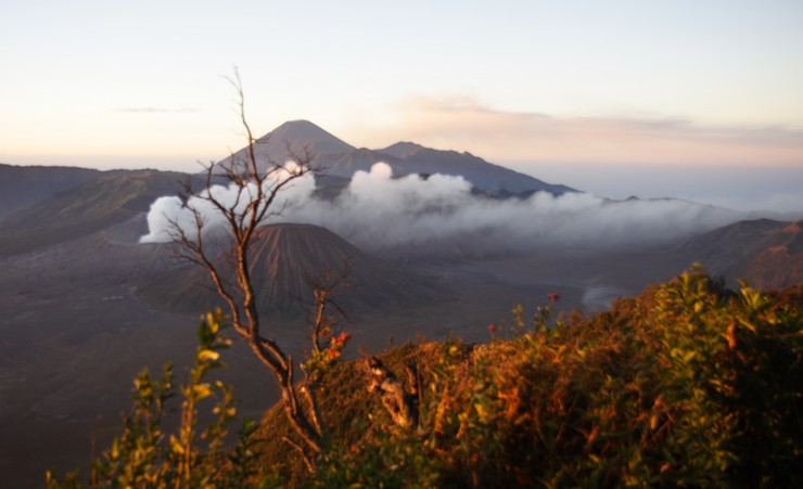 VOLCAN BROMO, 2392 M.