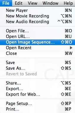 [select+image+sequence.jpg]