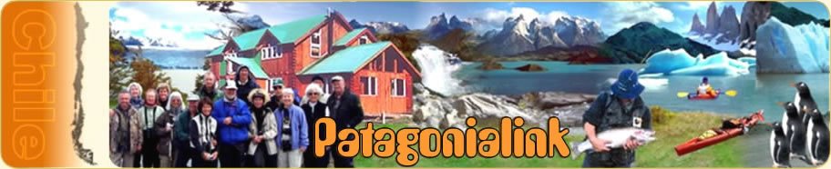 Patagonialink