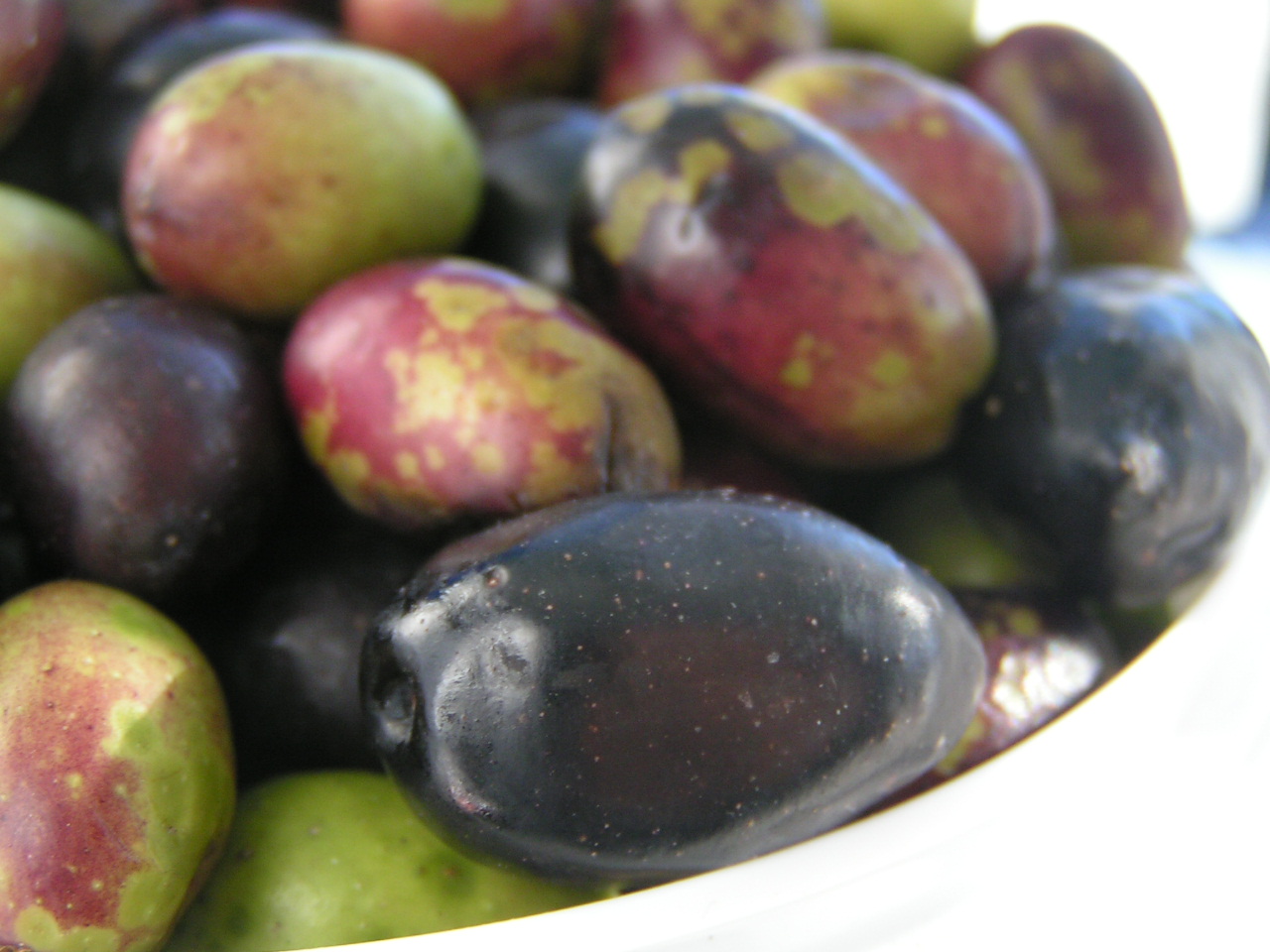Curious Kai Brining & Marinating Olives