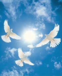 dove the holy spirit symbol