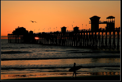 Sunset, seagull, surfer - good timing