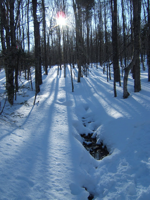 Sugar Moon Farm - winter hike