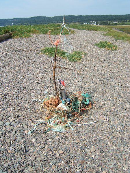 beach art - rope and junk - scotts bay