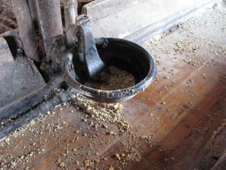 [IMG_0580.JPG]