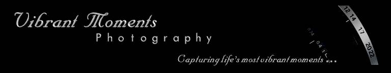 Vibrant Moments Photography Team