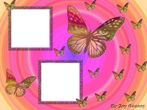 [BORBOLETAS+(4).jpg]