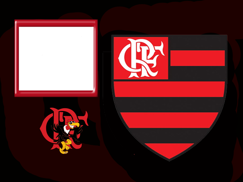 [flamengo2.png]