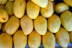EAT MANGOES, STAY HEALTHY