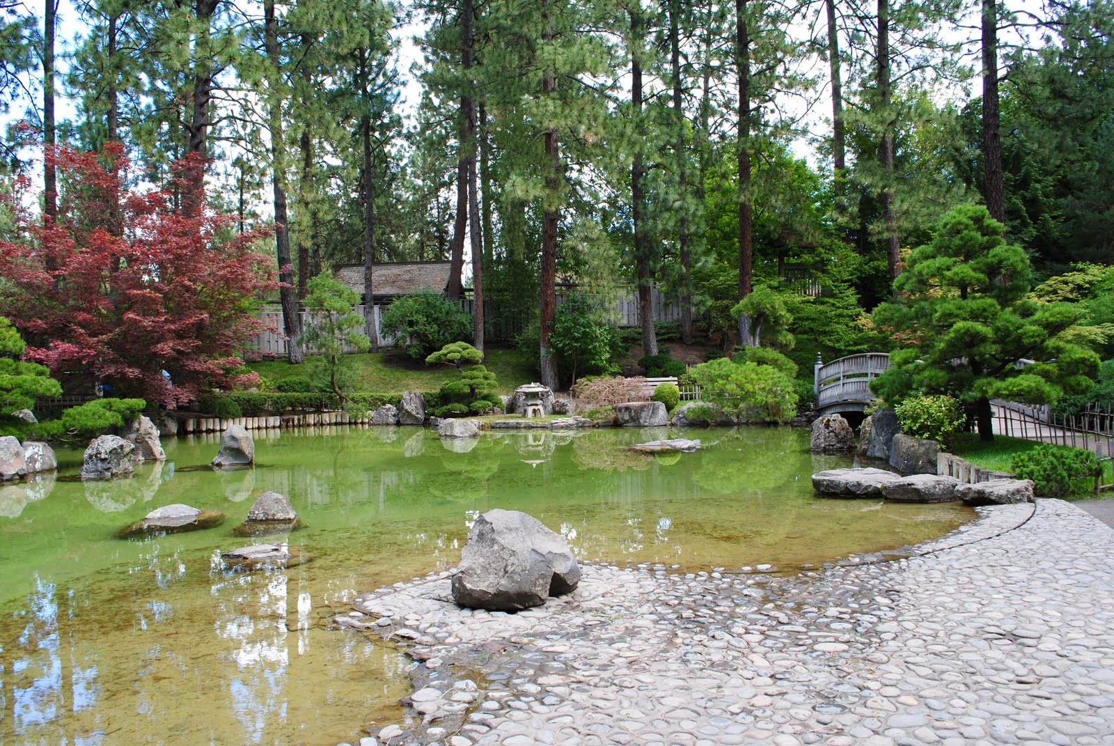 wild and free Cat Tales & Manito Park.. Spokane's finest.