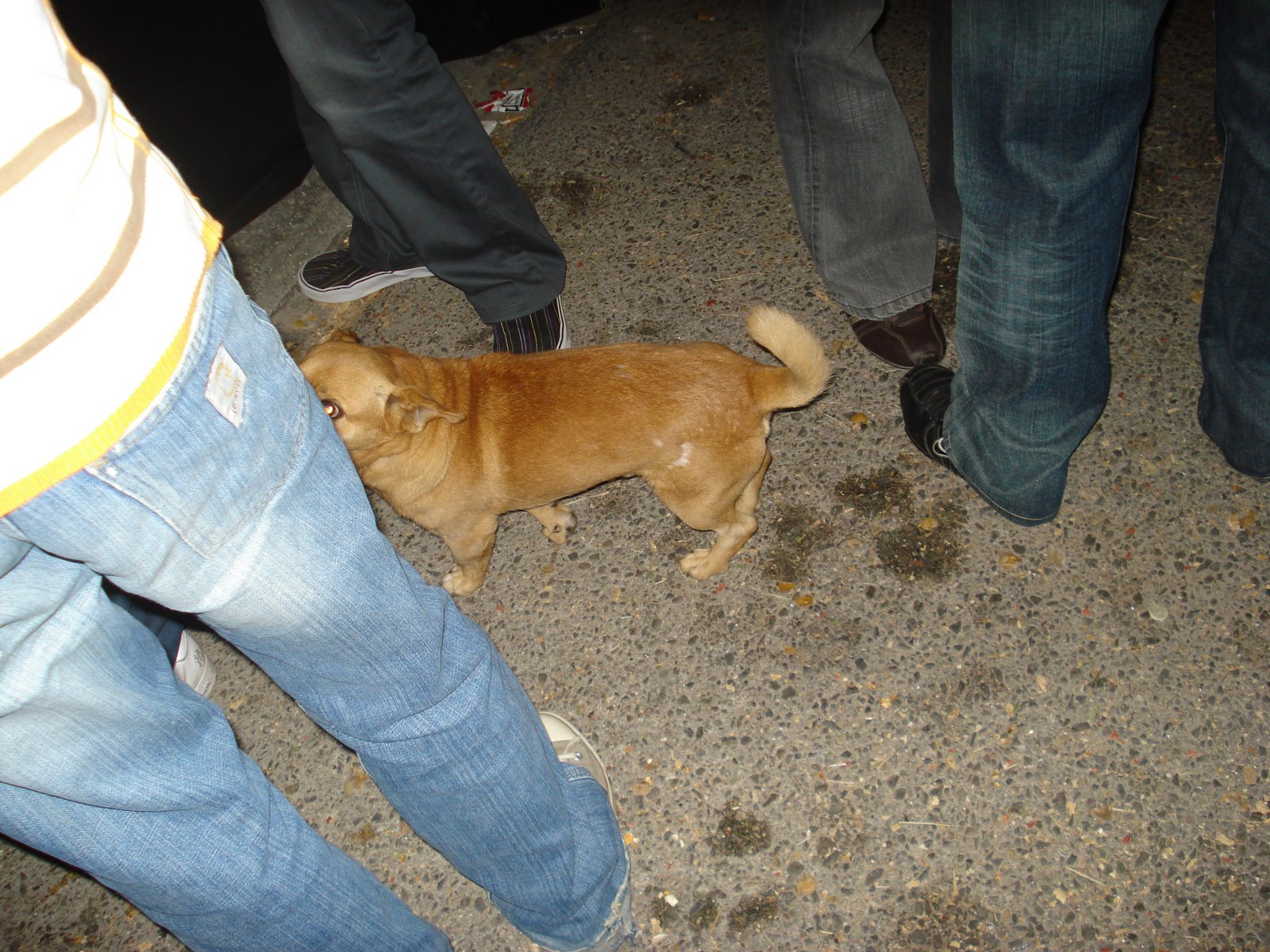 [DSC01120.JPG]