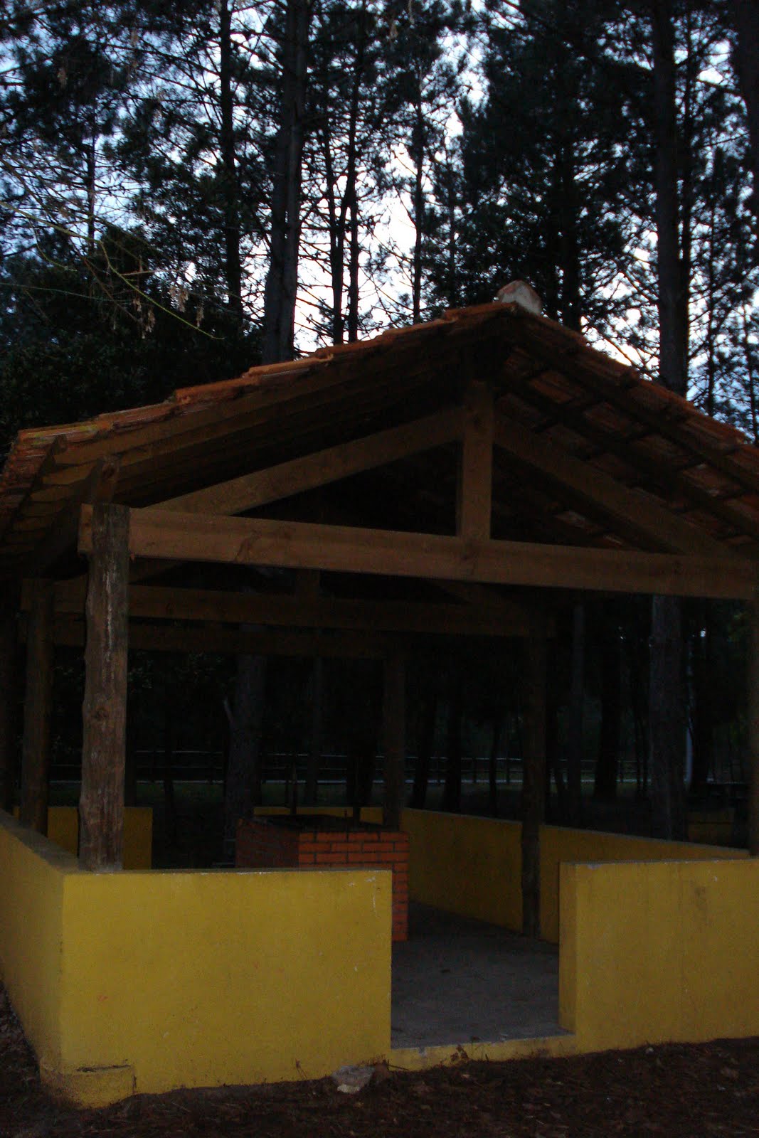 [DSC02453.JPG]