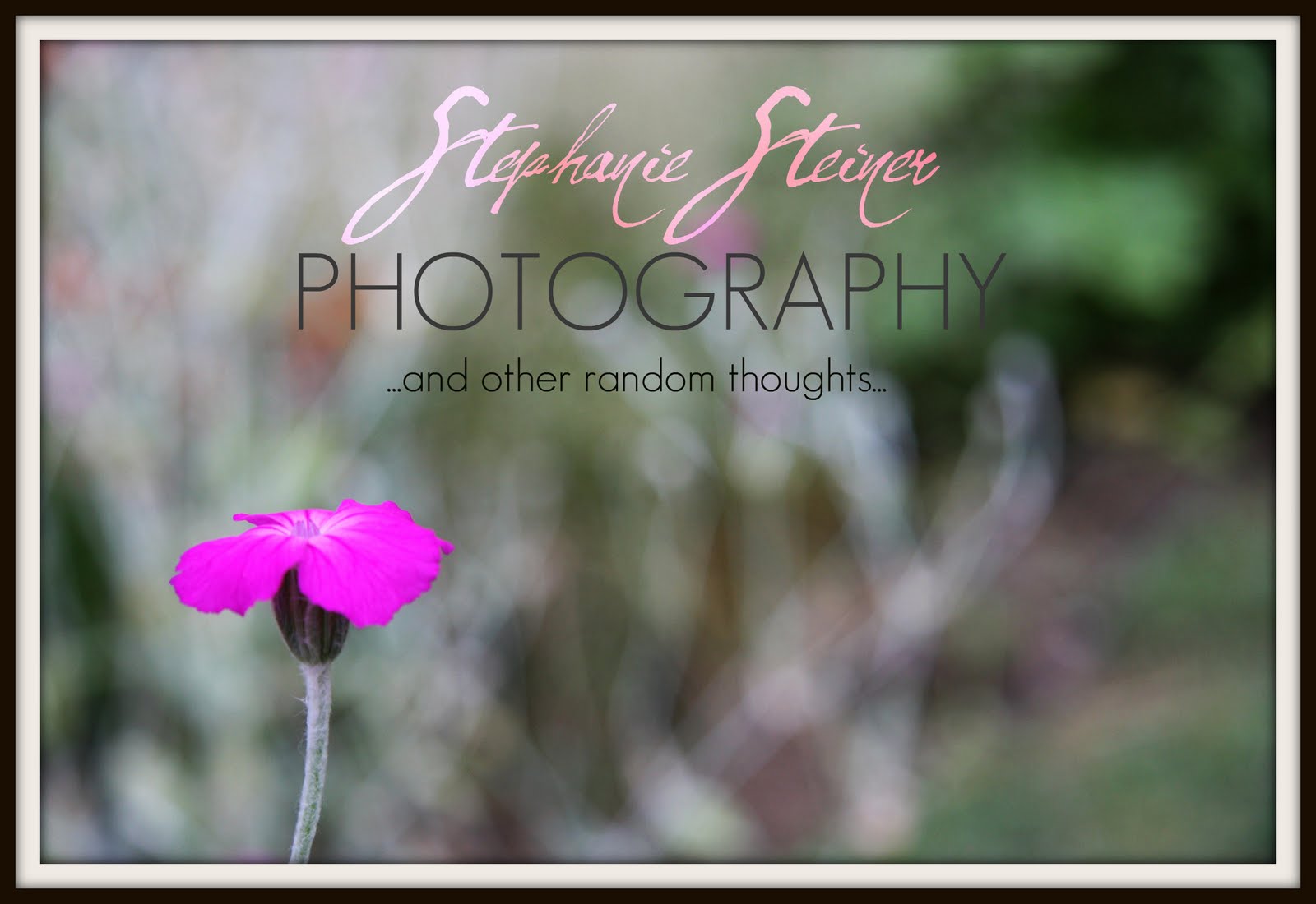 Stephanie Steiner Photography
