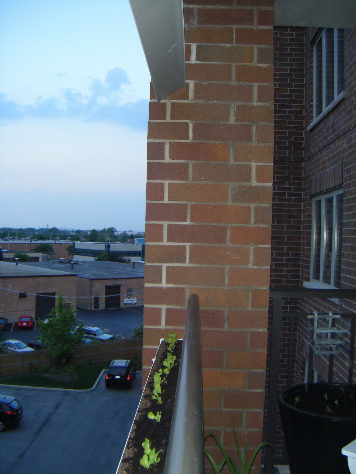 Half a Yard: Gutter Garden