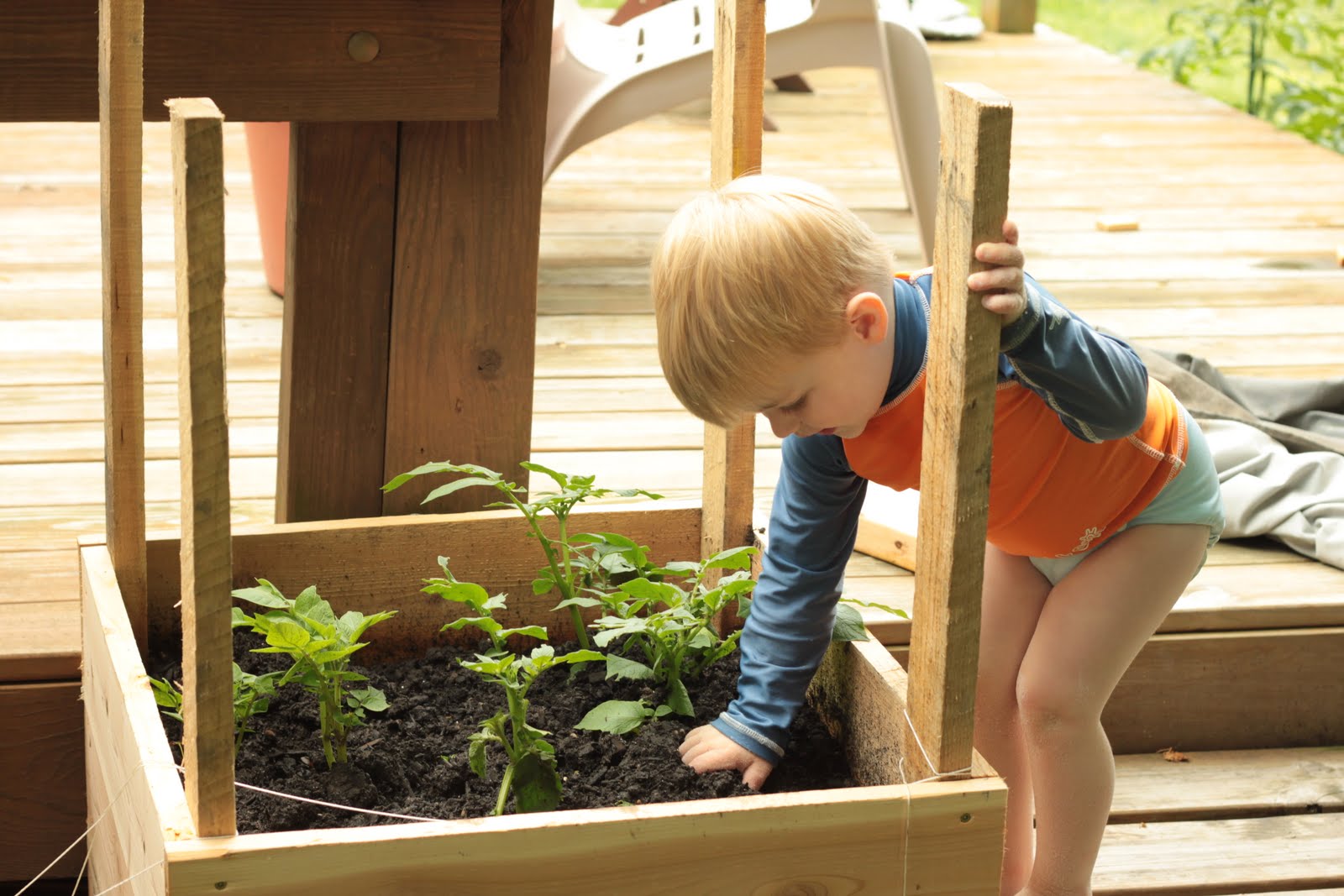 Half a Yard Growing Vertically
