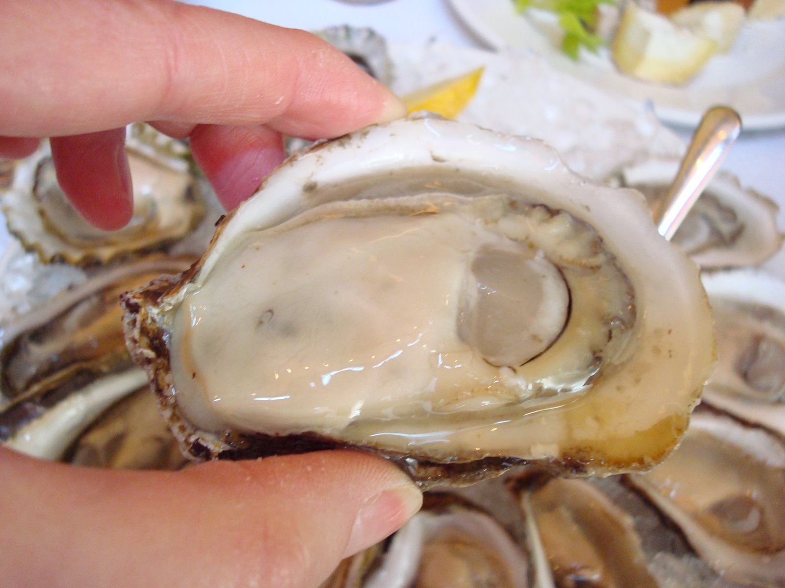 [DSC00143_1.JPG]